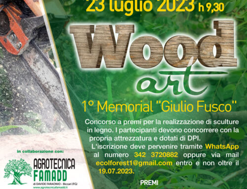 Wood Art, 1° Memorial “Giulio Fusco”