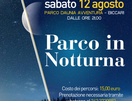 Parco in notturna